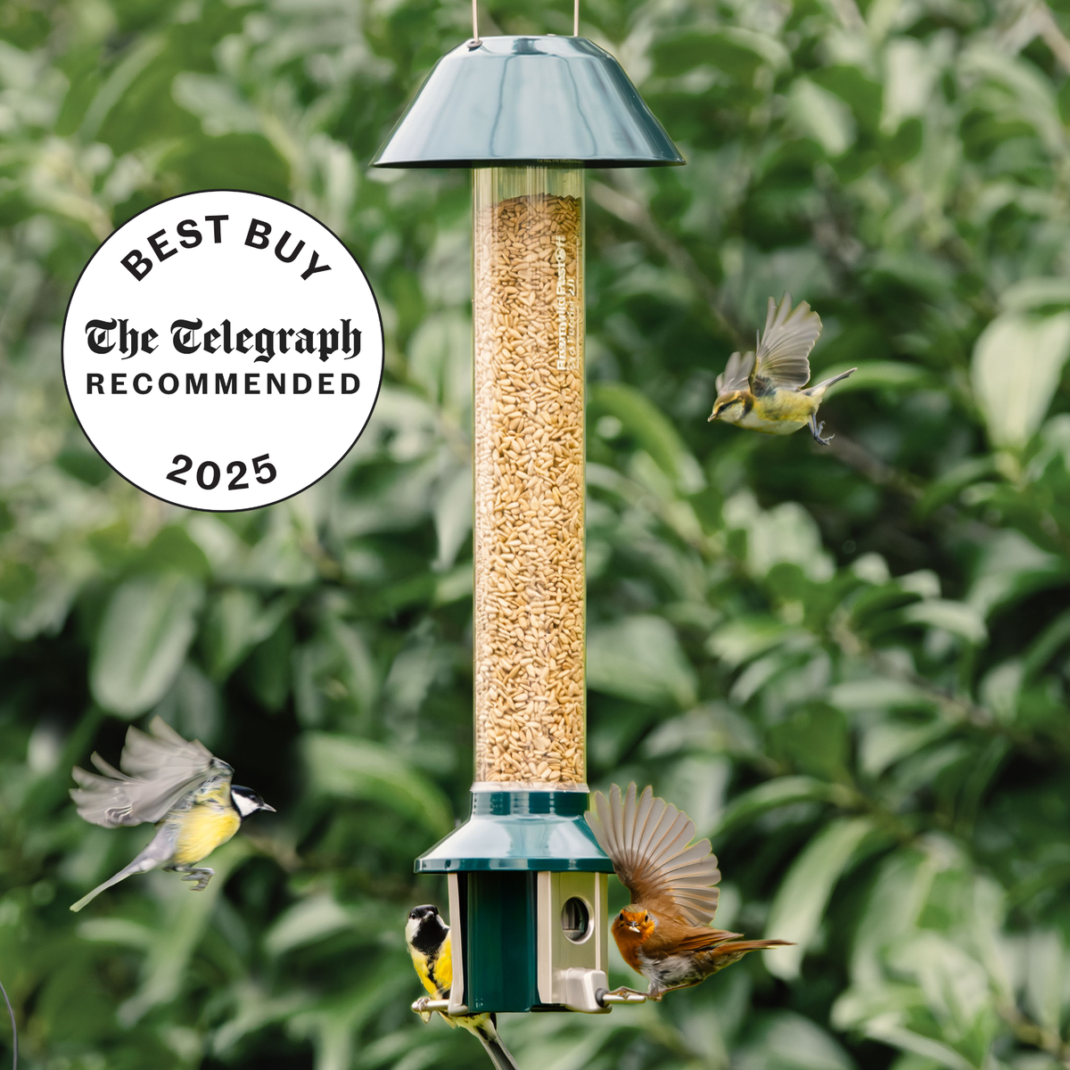 Bird feeding