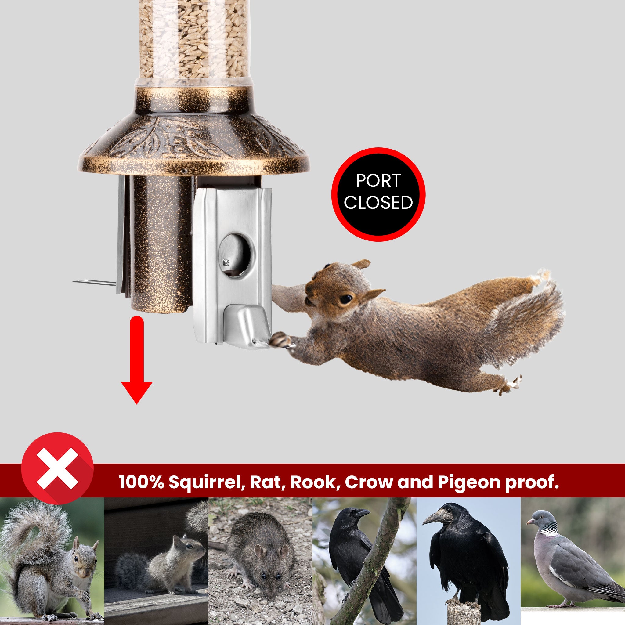 Roamwild PestOff Eichhörnchensicherer Vogelfutterspender 2.0 | Antikgold für gemischte Samen/Sonnenblumenherzen