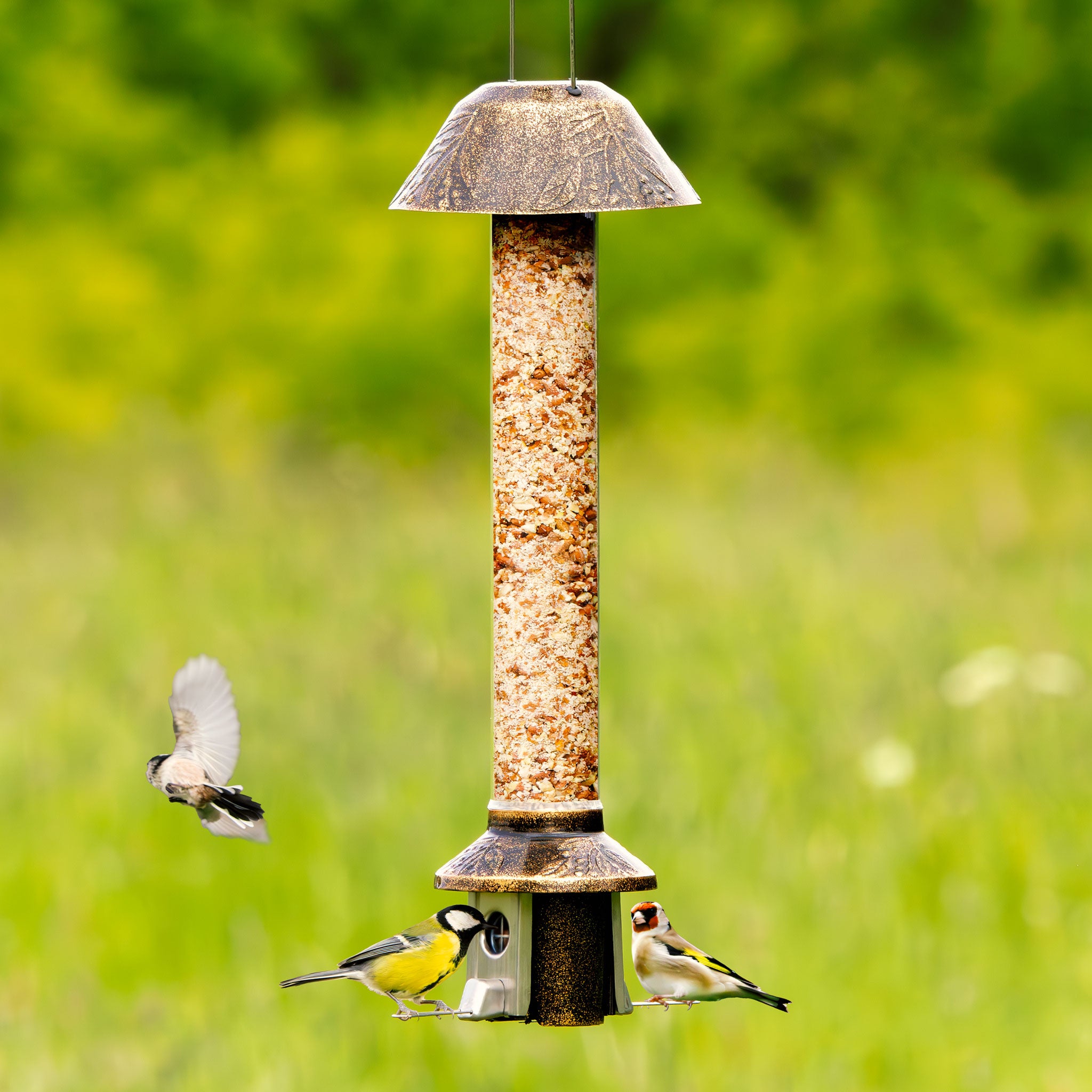 Roamwild PestOff Squirrel Proof Bird Feeder 2.0 For Peanut/Mealworms