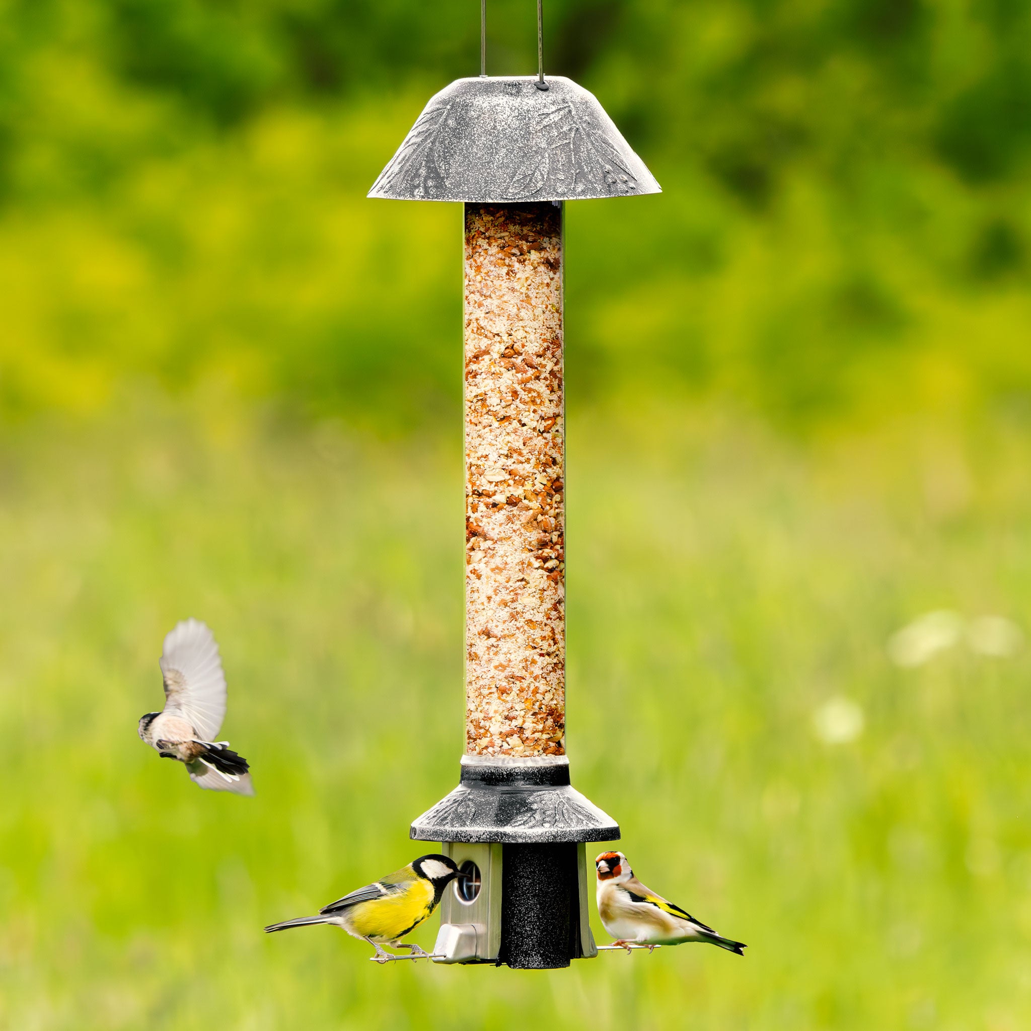 Roamwild PestOff Eichhörnchensicheres Vogelfutterhaus | Antikes Platin 