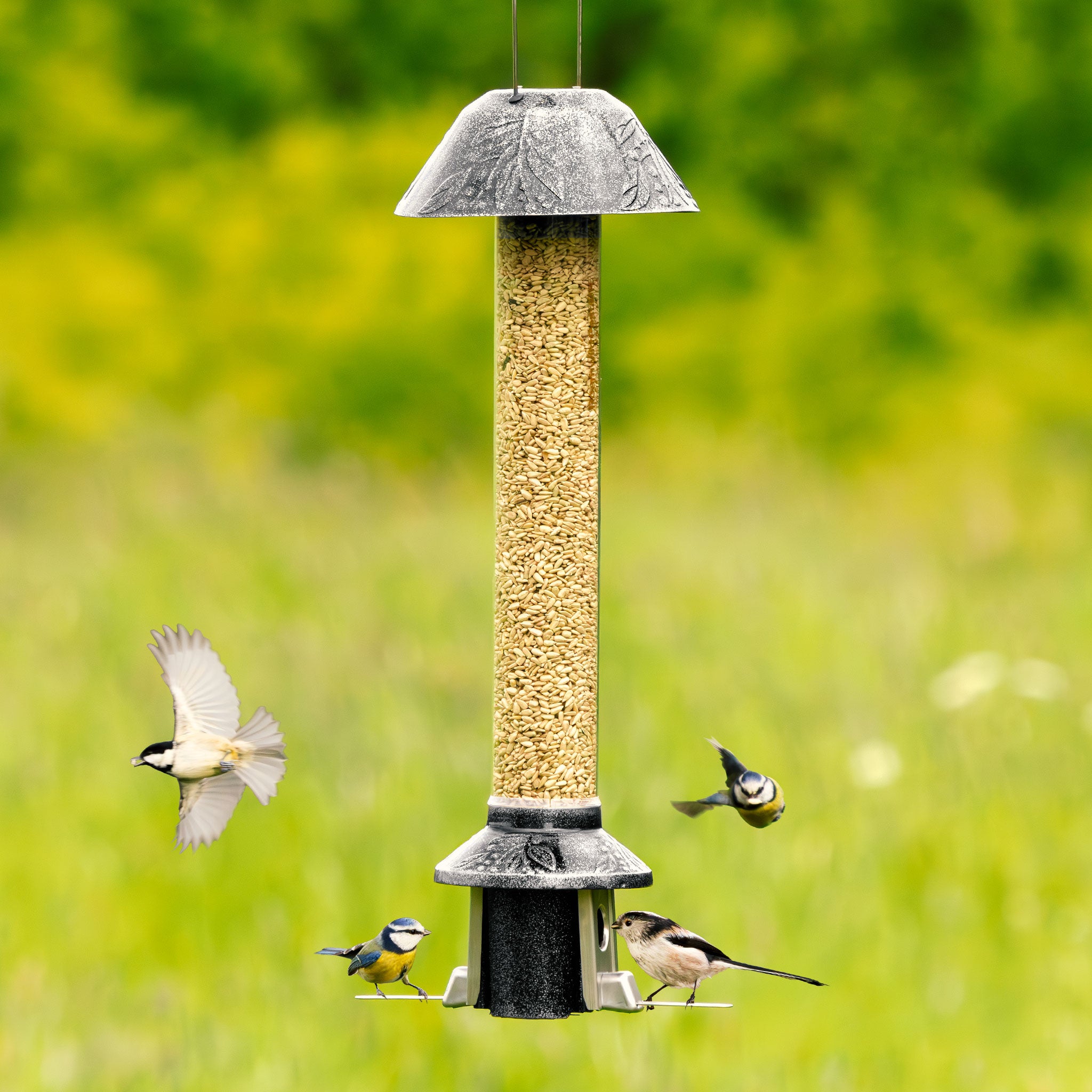 Roamwild PestOff Squirrel Proof Bird Feeder 2.0 | Antique Platinum For Mixed Seed/Sunflower Hearts