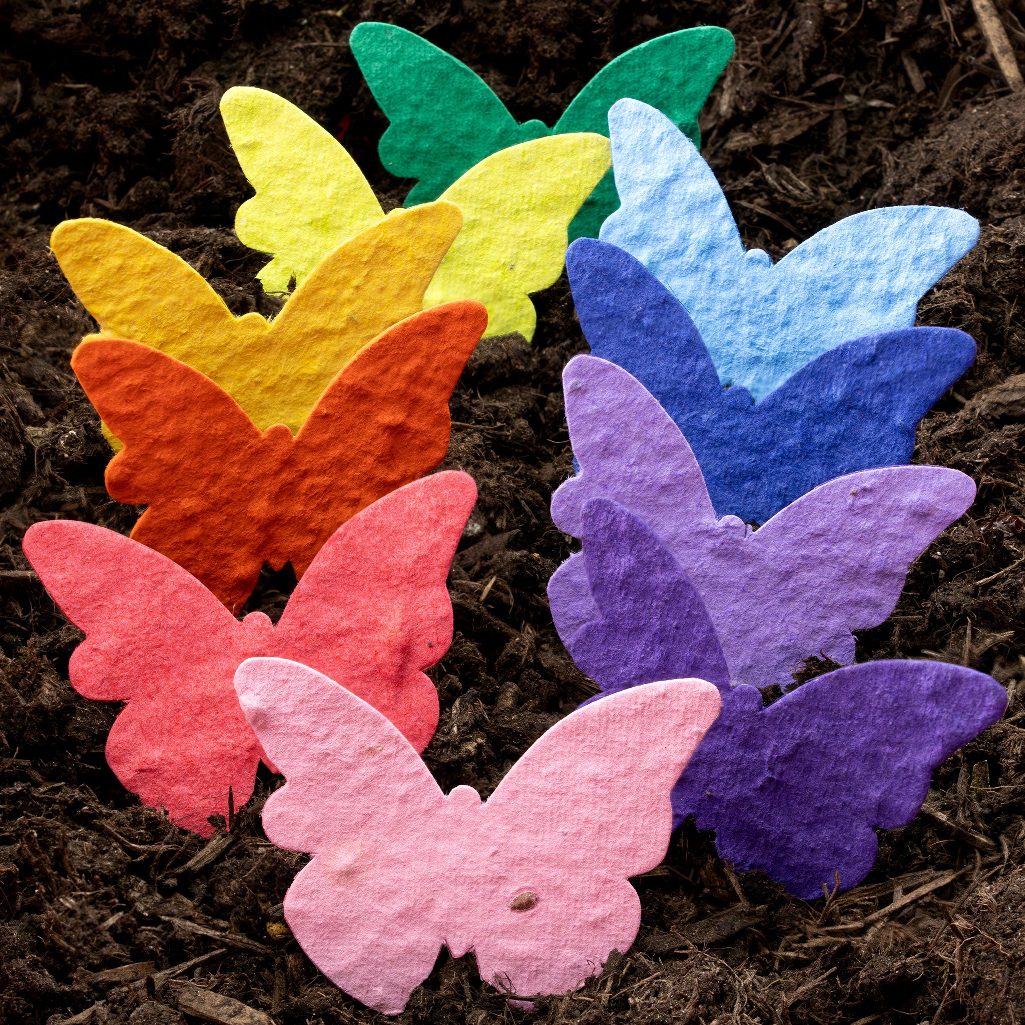 Roamwild Samenpapierformen – 100er-Pack (Schmetterling) 