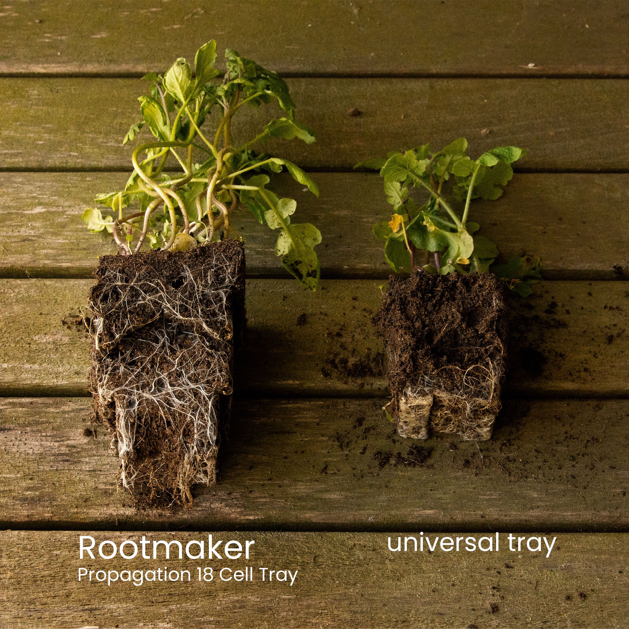 Rootmaker Propagation 18-Zellen-Tablett 