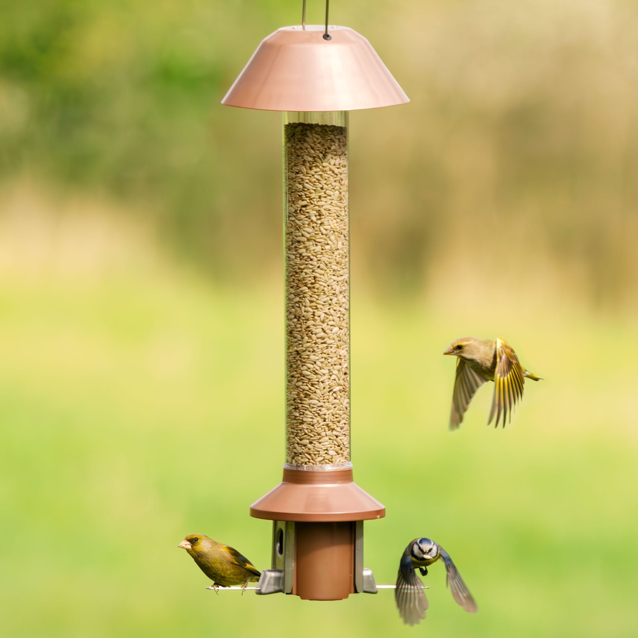 Roamwild PestOff Eekhoornbestendige Voederbak voor Vogels 2.0 | Antiek Koper Voor Gemengde Zaden/Zonnebloemharten