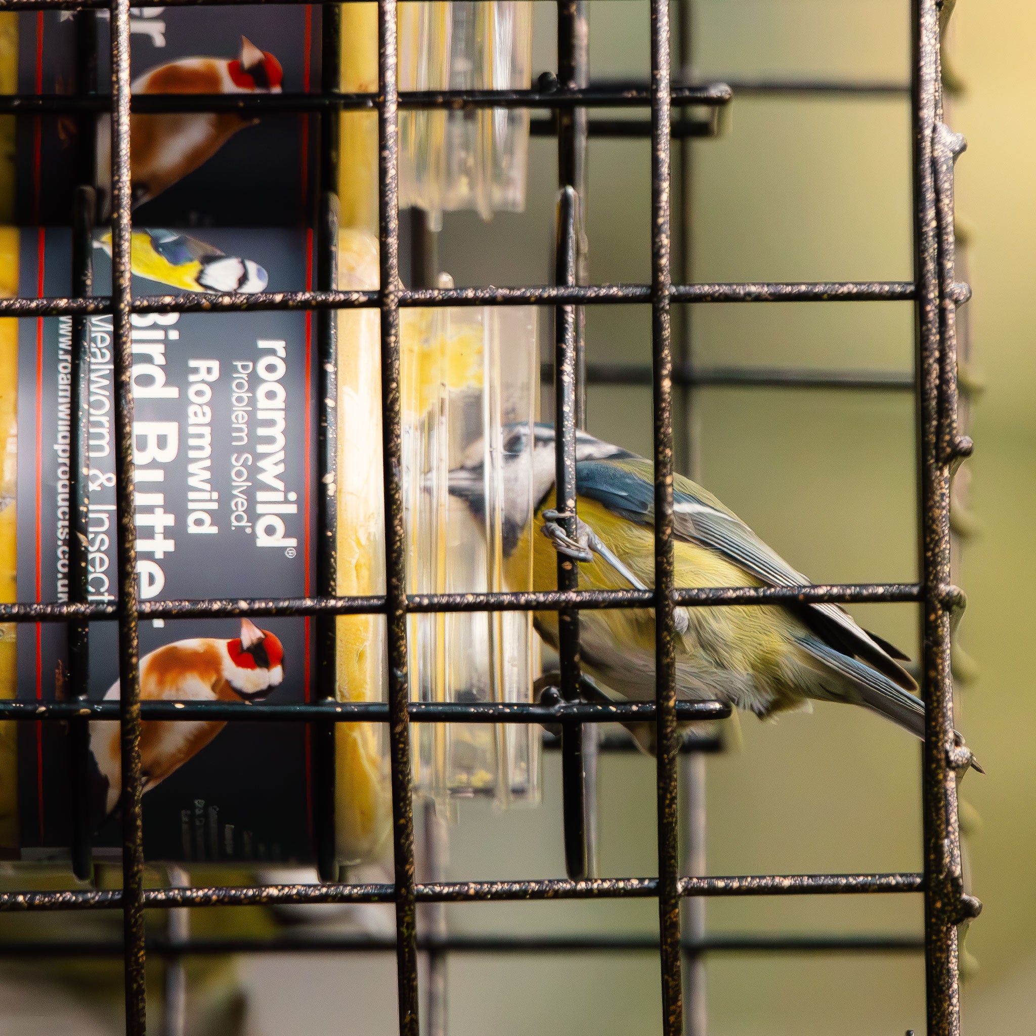 Roamwild Premium Bird Butter