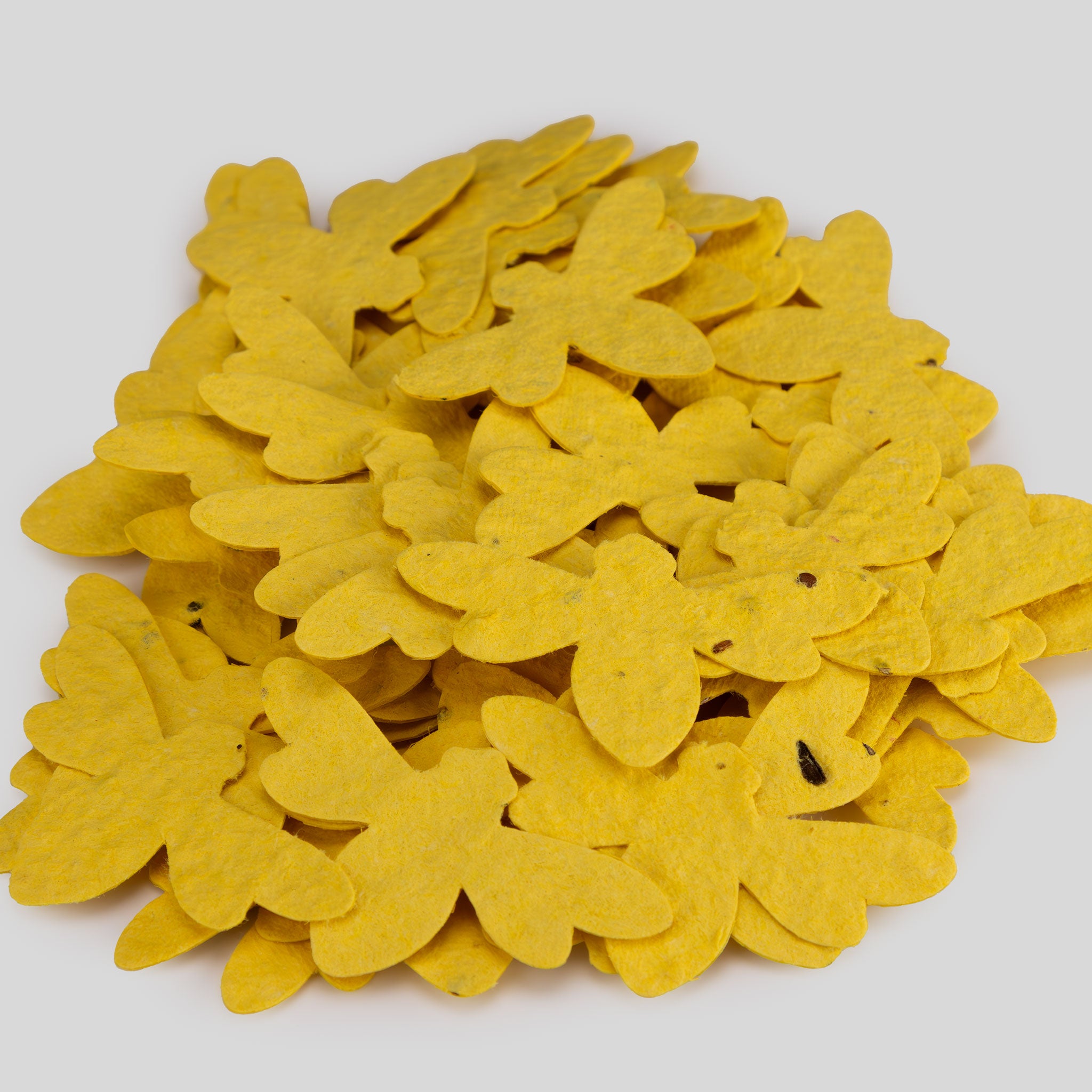 Roamwild Samenpapierformen – 100 Stück (Marienkäfer) 