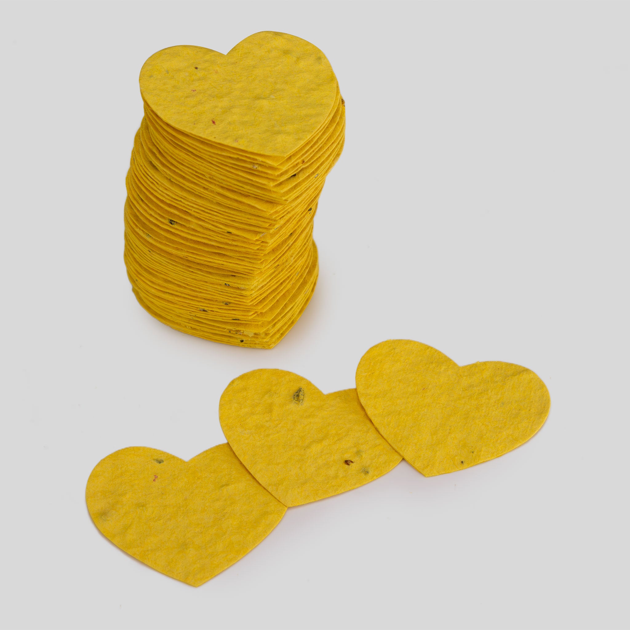 Roamwild Seeded Paper Shapes - Pak van 100 (Lieveheersbeestje) 