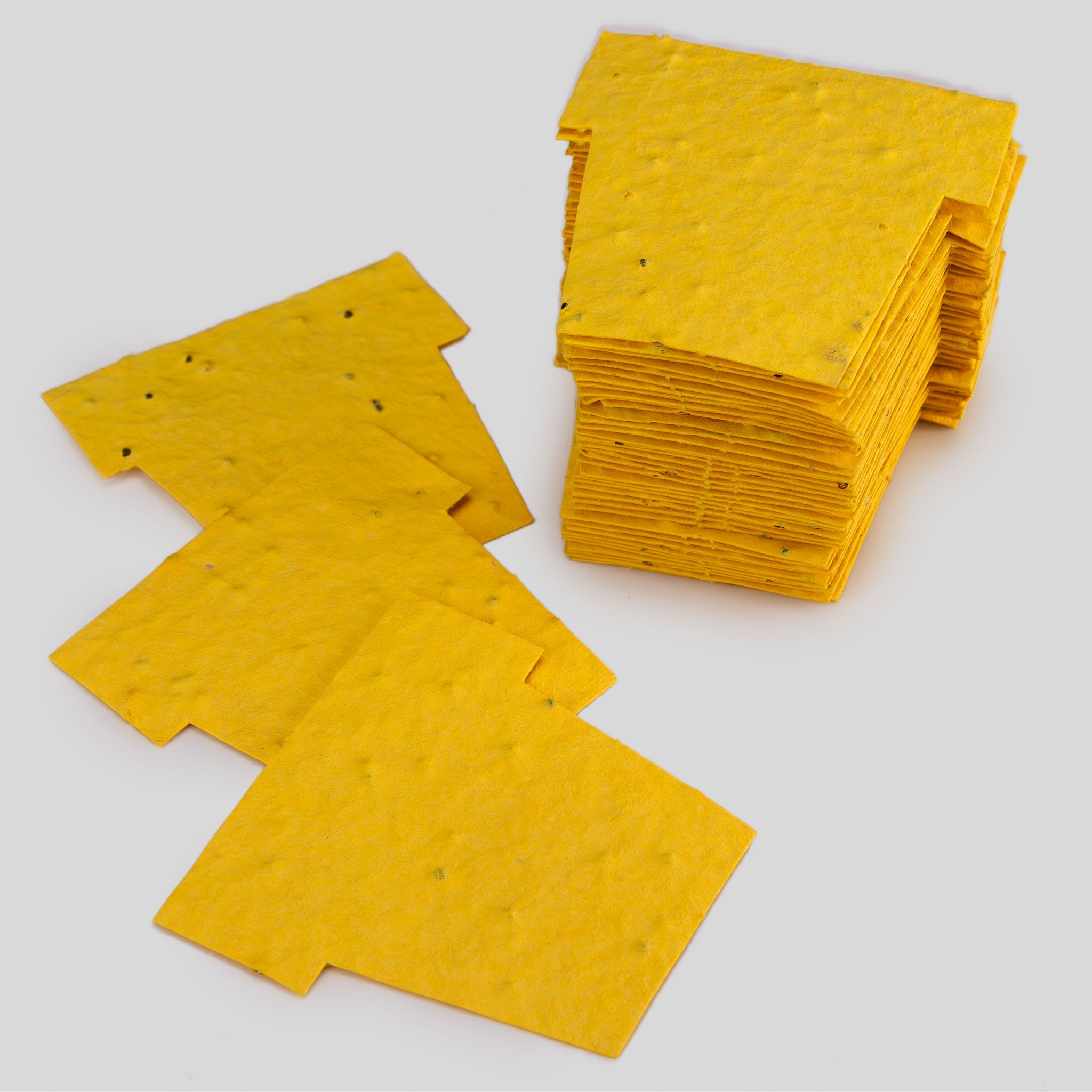 Roamwild Seeded Paper Shapes - Pak van 100 (Lieveheersbeestje) 