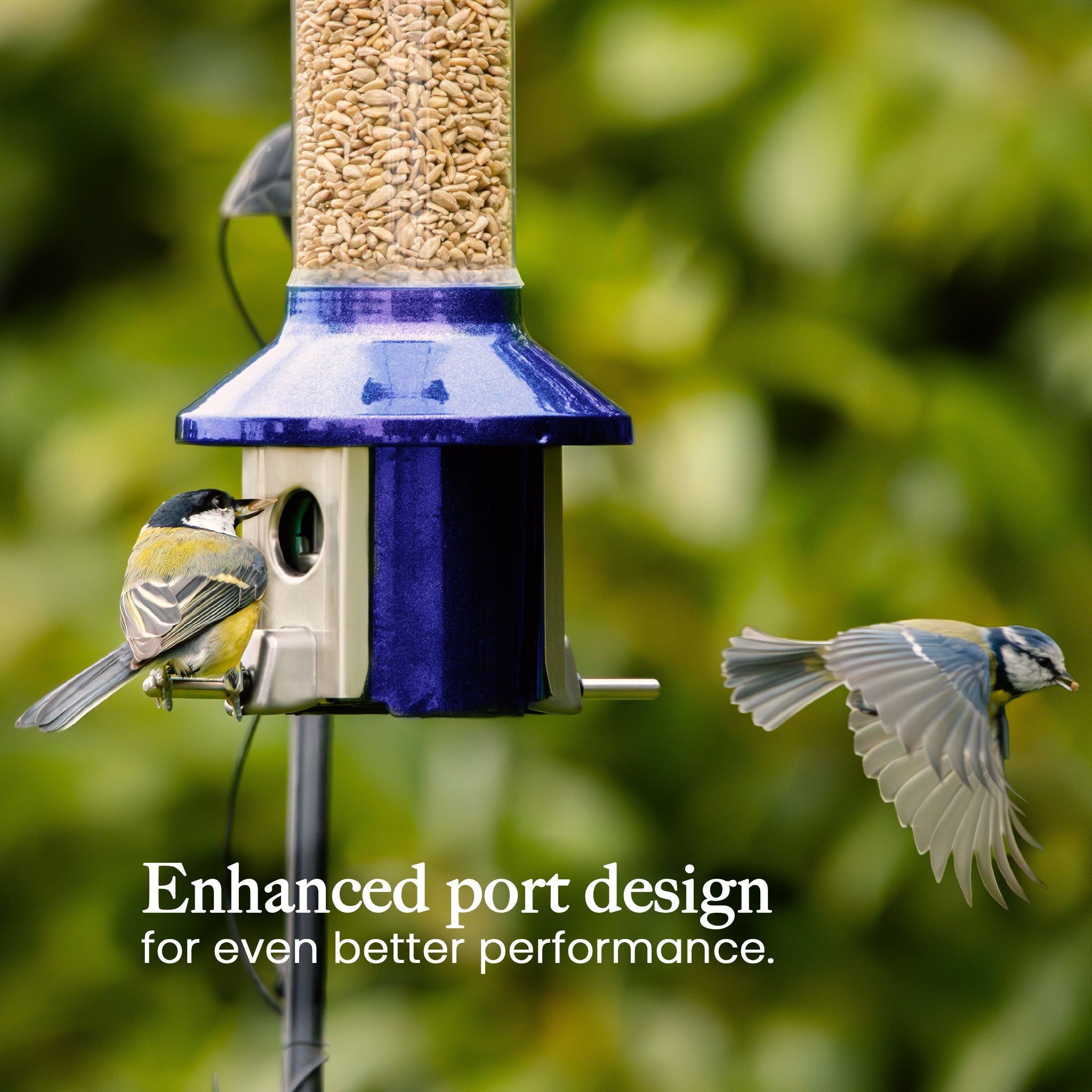 Roamwild PestOff Bird Feeder 3.0