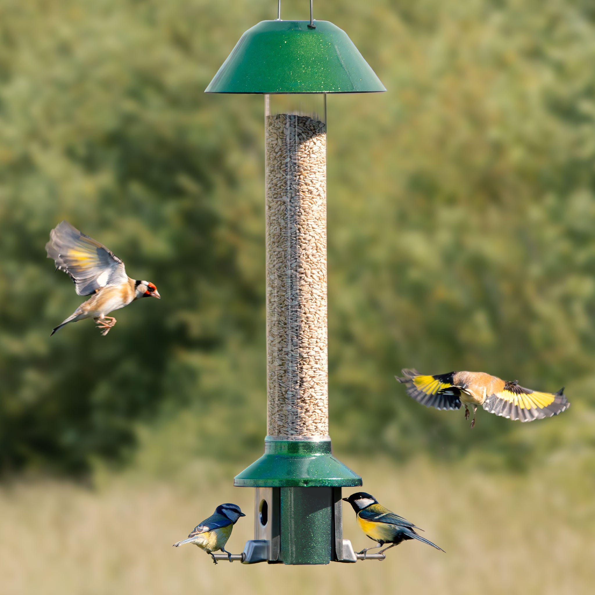 Roamwild PestOff Bird Feeder 3.0