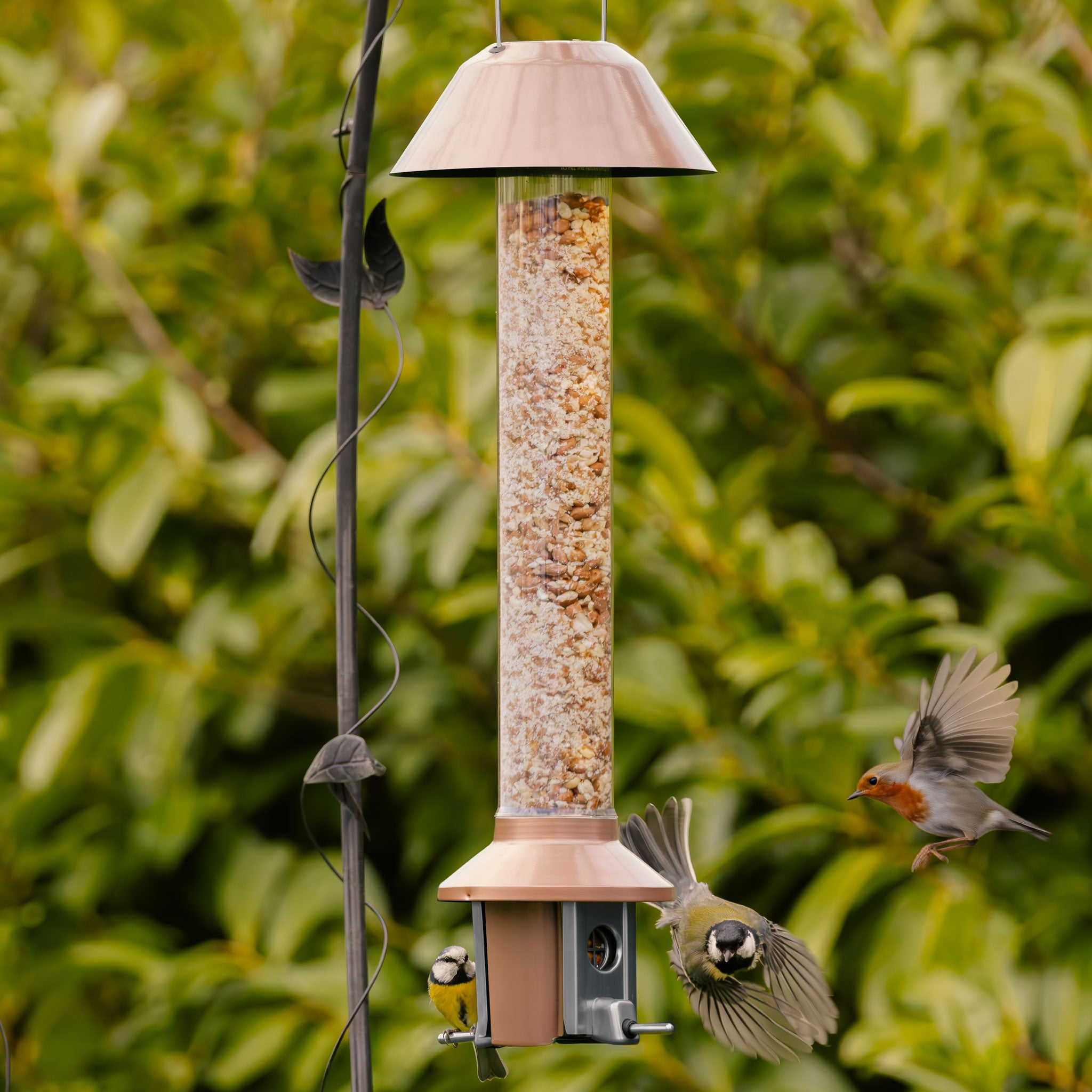 Roamwild PestOff Bird Feeder 3.0