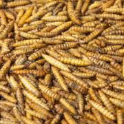 Roamwild Premium Calciworms (12.75kg)