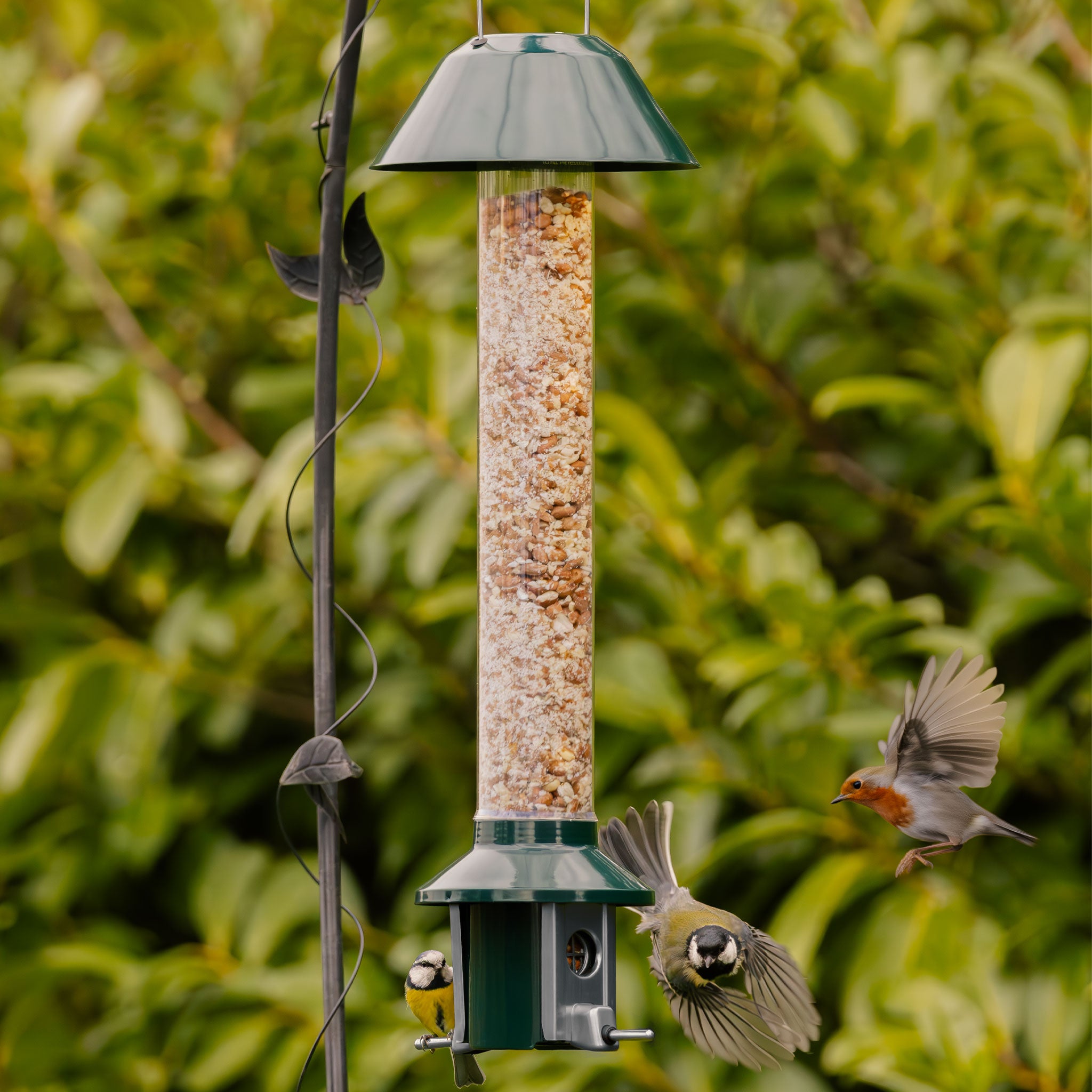 Roamwild PestOff Bird Feeder 3.0