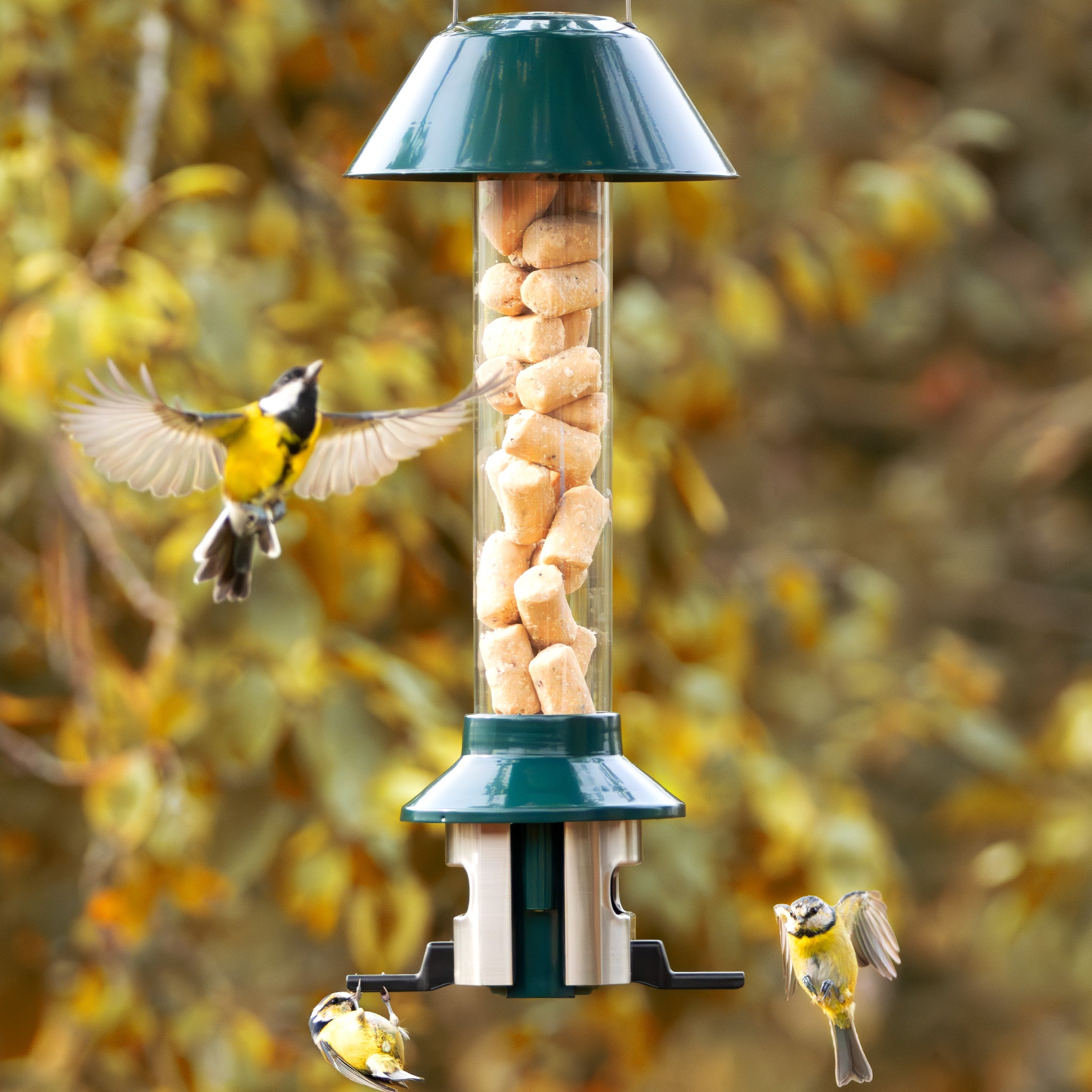 Roamwild PestOff Voederbak voor Vogels Voor Suet Nuggets/Vetbollen
