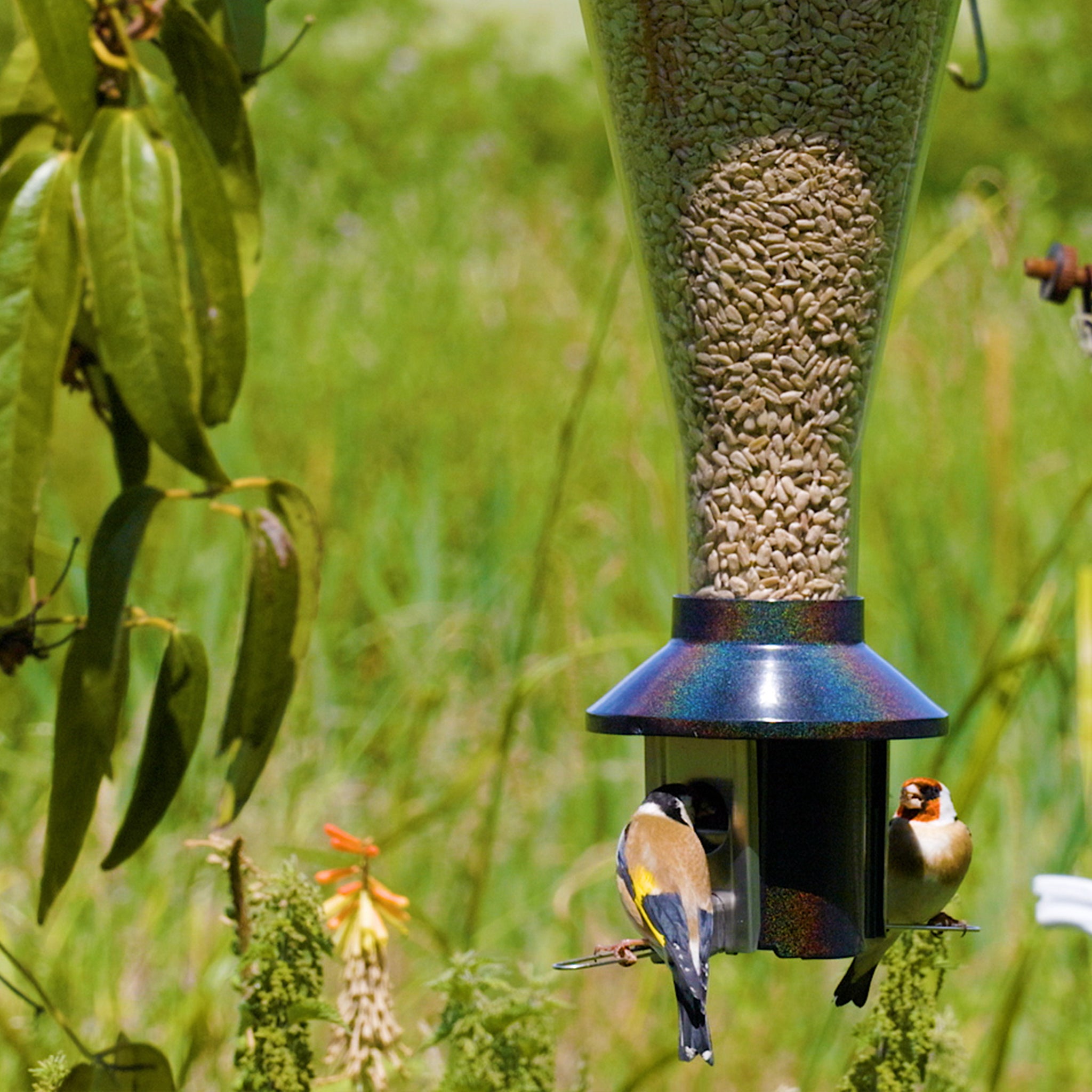 Roamwild Mega PestOff Squirrel Proof Bird Feeder For Mixed Seed/Sunflower Hearts