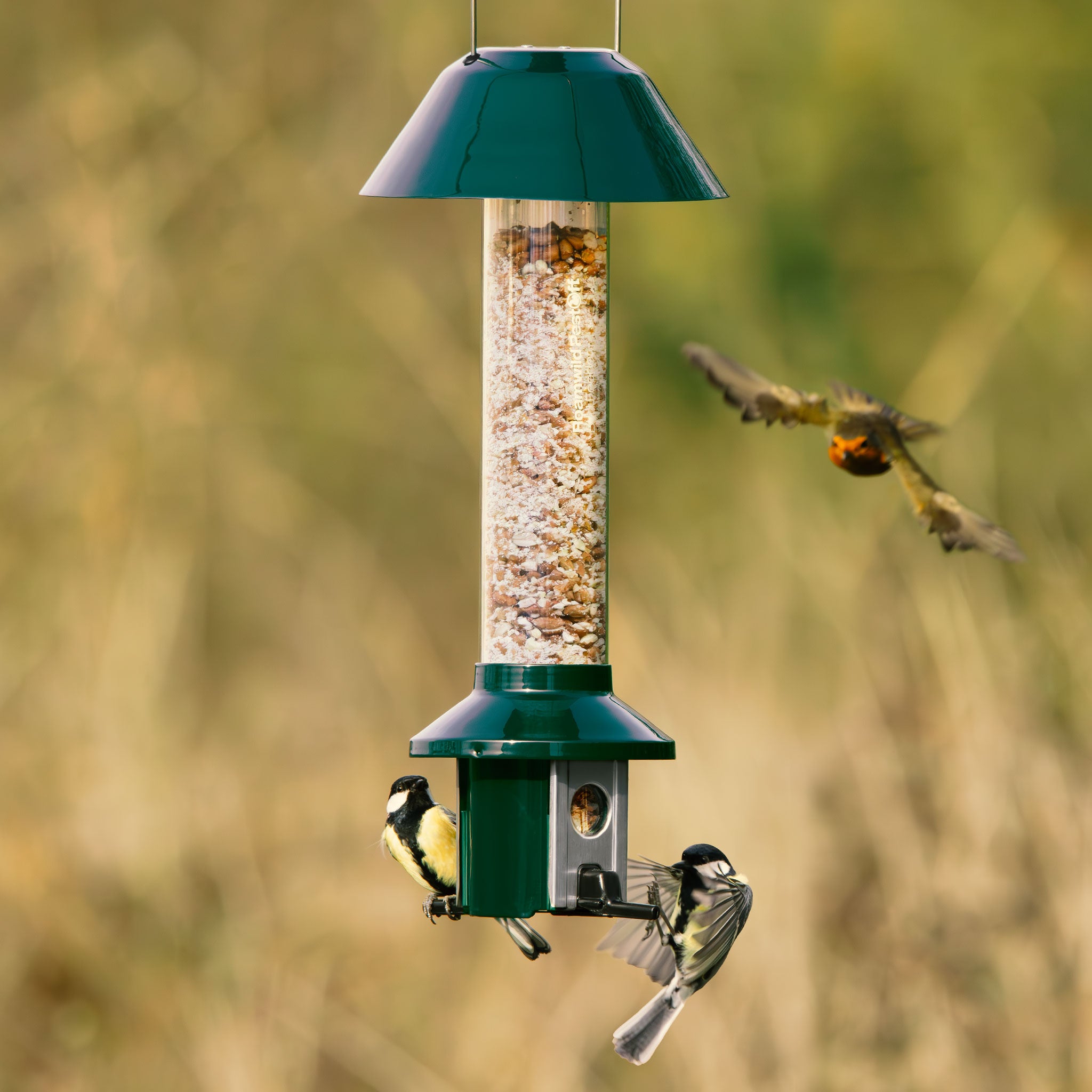 Roamwild PestOff Eichhörnchensicheres Vogelfutterhaus – kompakt 