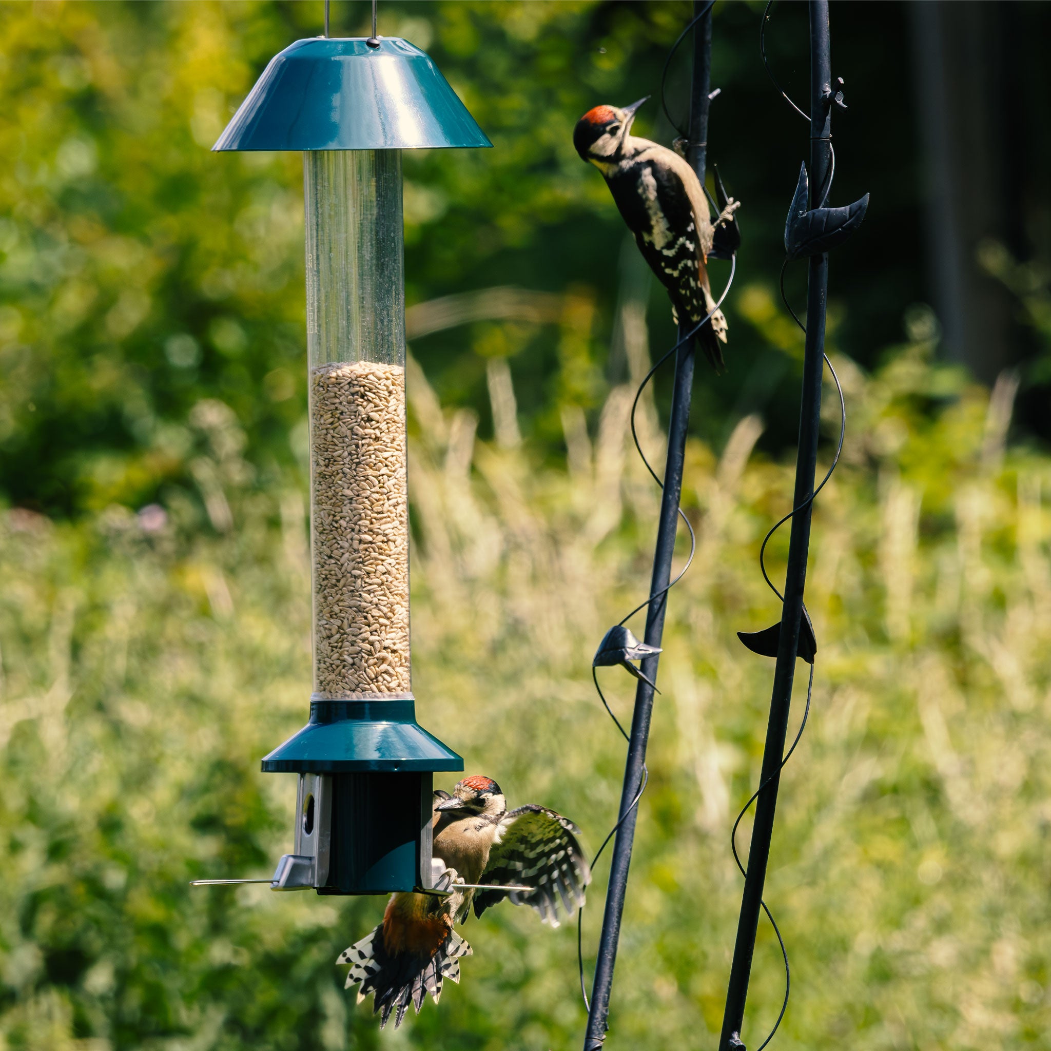 Roamwild PestOff Heart Station Feeder Set