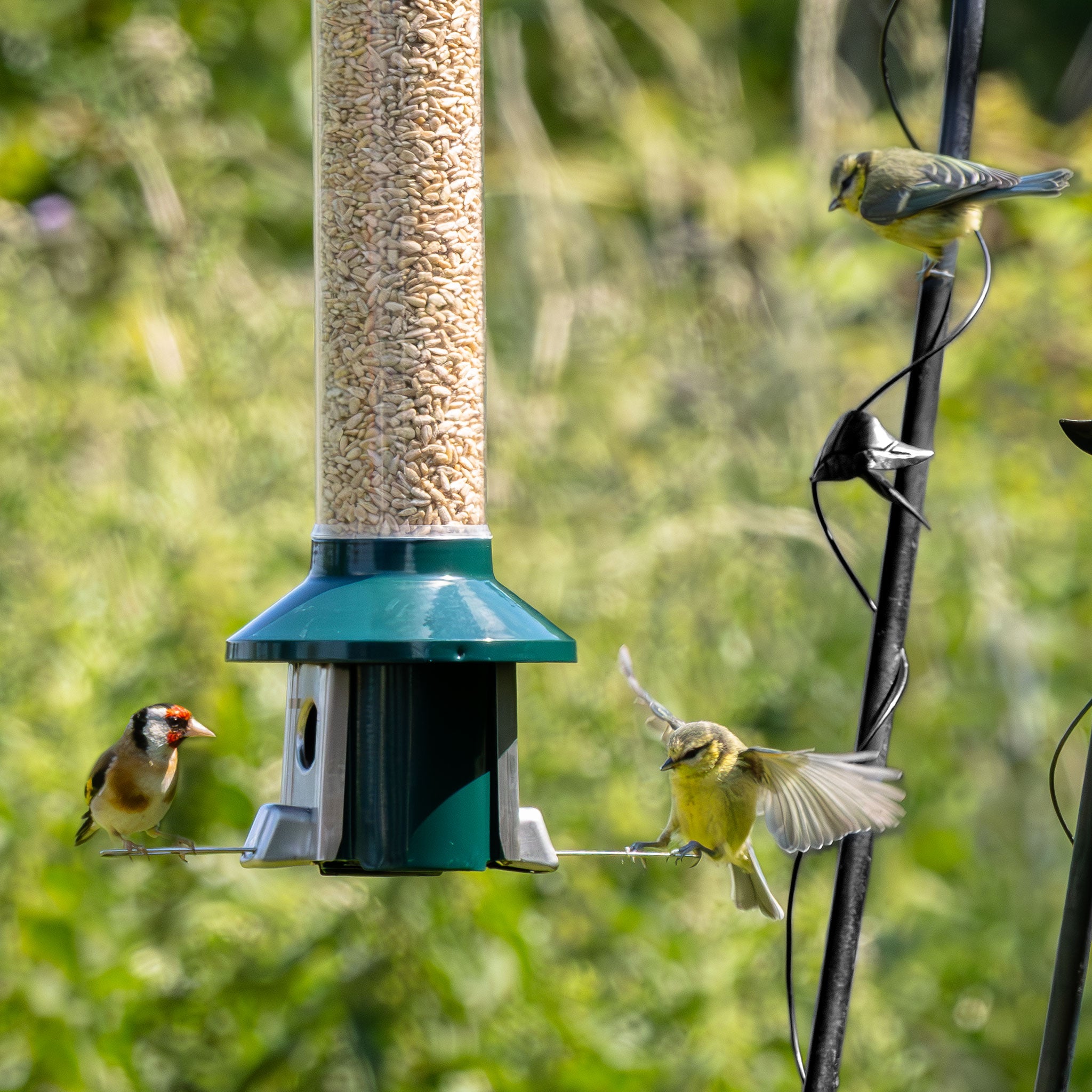 Roamwild PestOff Heart Station Feeder Set