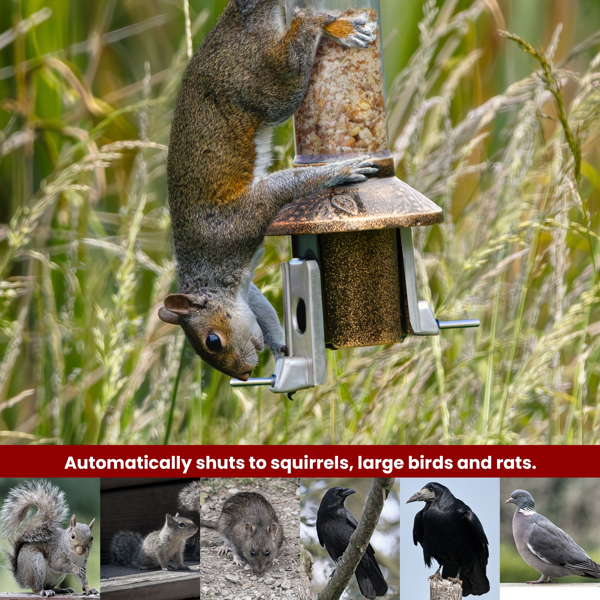 Roamwild PestOff Bird Feeder 3.0