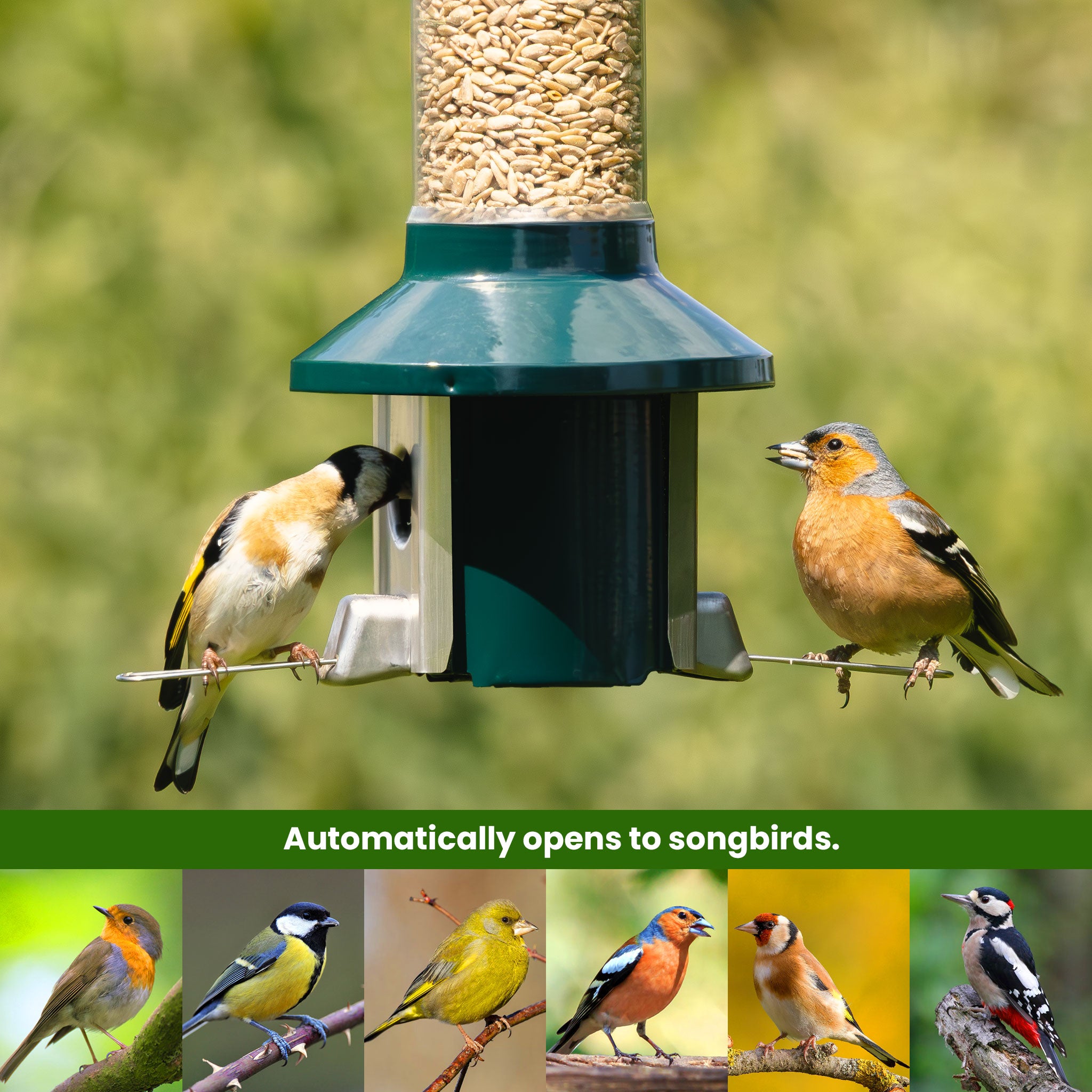 Roamwild PestOff Eekhoornbestendige Voederbak 2.0 Voor Gemengde Zaden/Zonnebloemharten