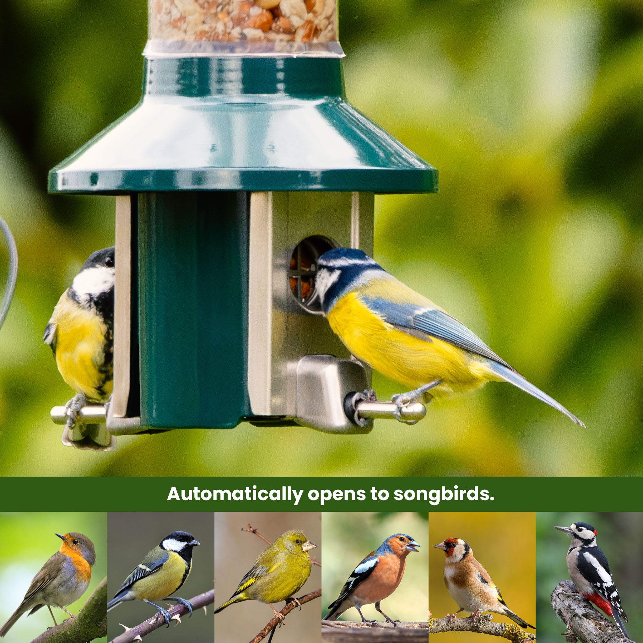 Roamwild PestOff Bird Feeder 3.0