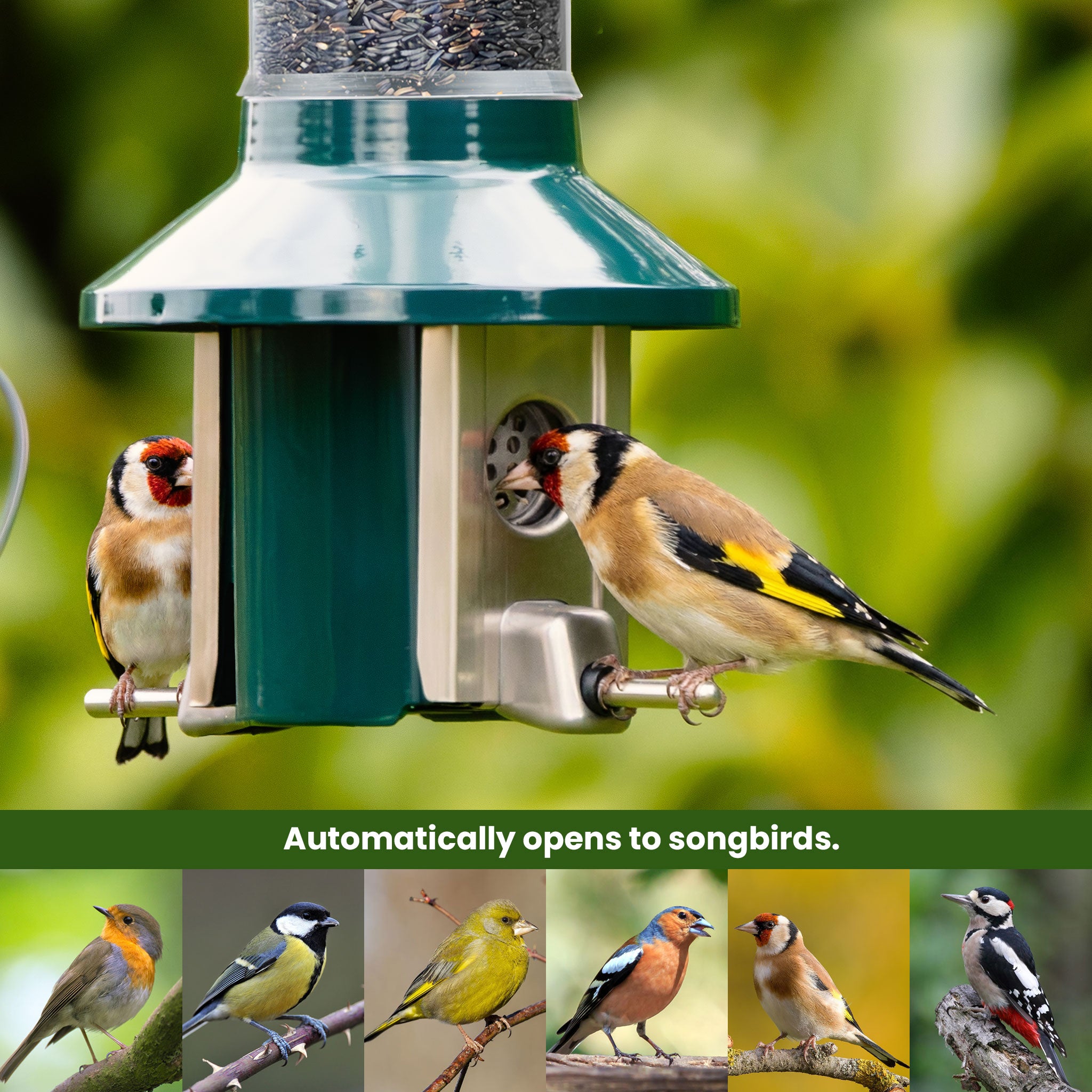 Roamwild PestOff Eekhoornbestendige Voederbak 2.0 Voor Nyjer/Distelzaad