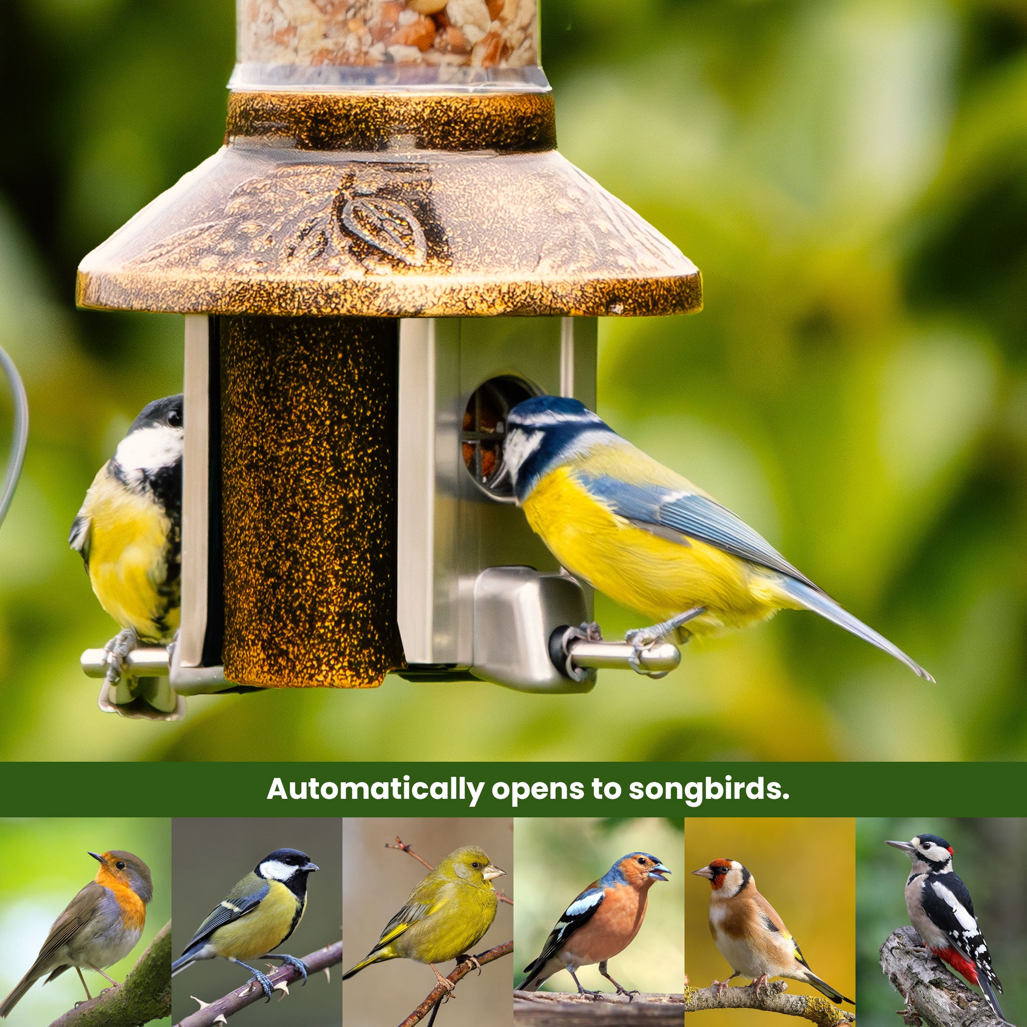 Roamwild PestOff Bird Feeder 3.0