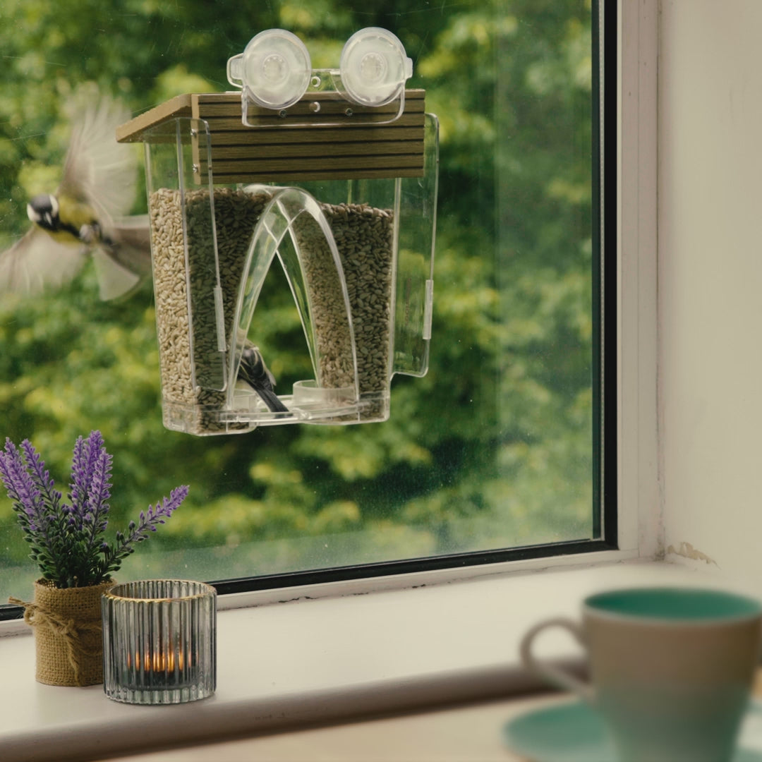 Video laden: Roamwild Arch Window Vogelvoeder