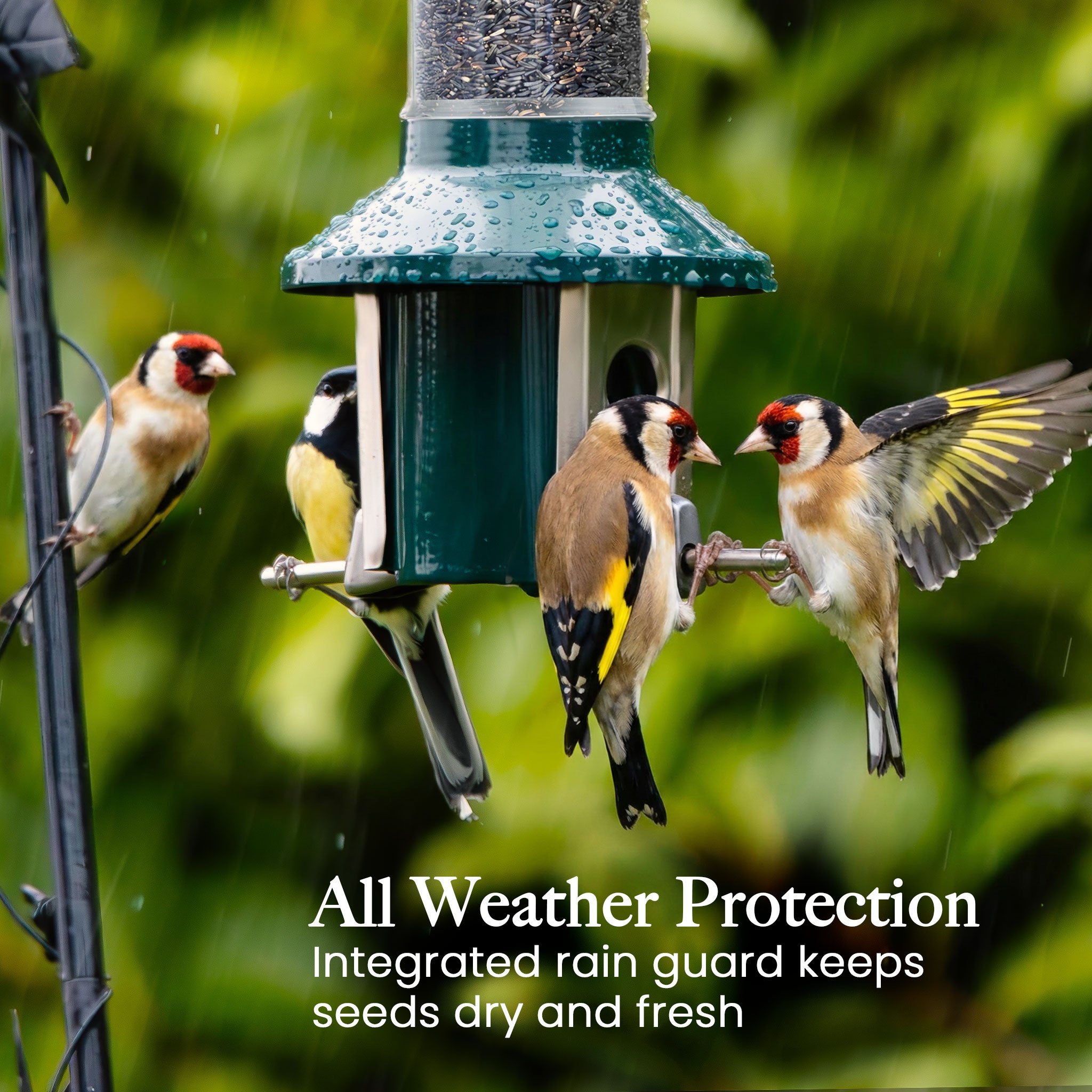 Roamwild PestOff Eekhoornbestendige Voederbak 2.0 Voor Nyjer/Distelzaad