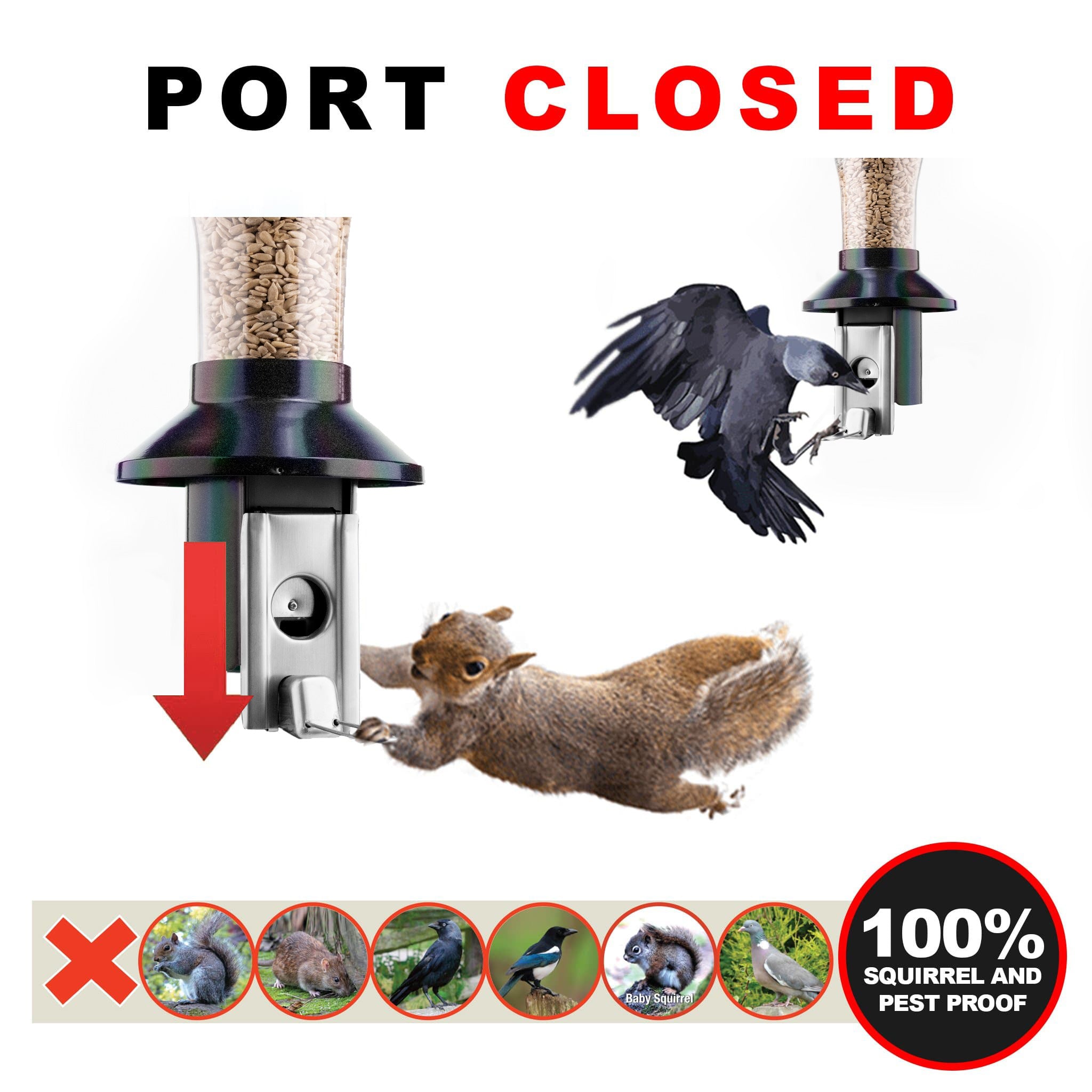 Roamwild Eichhörnchensichere Vogelfutterstation – Antik Platinum, Mit Regenschutz, Bis 1,8 Kg Fassungsvermögen