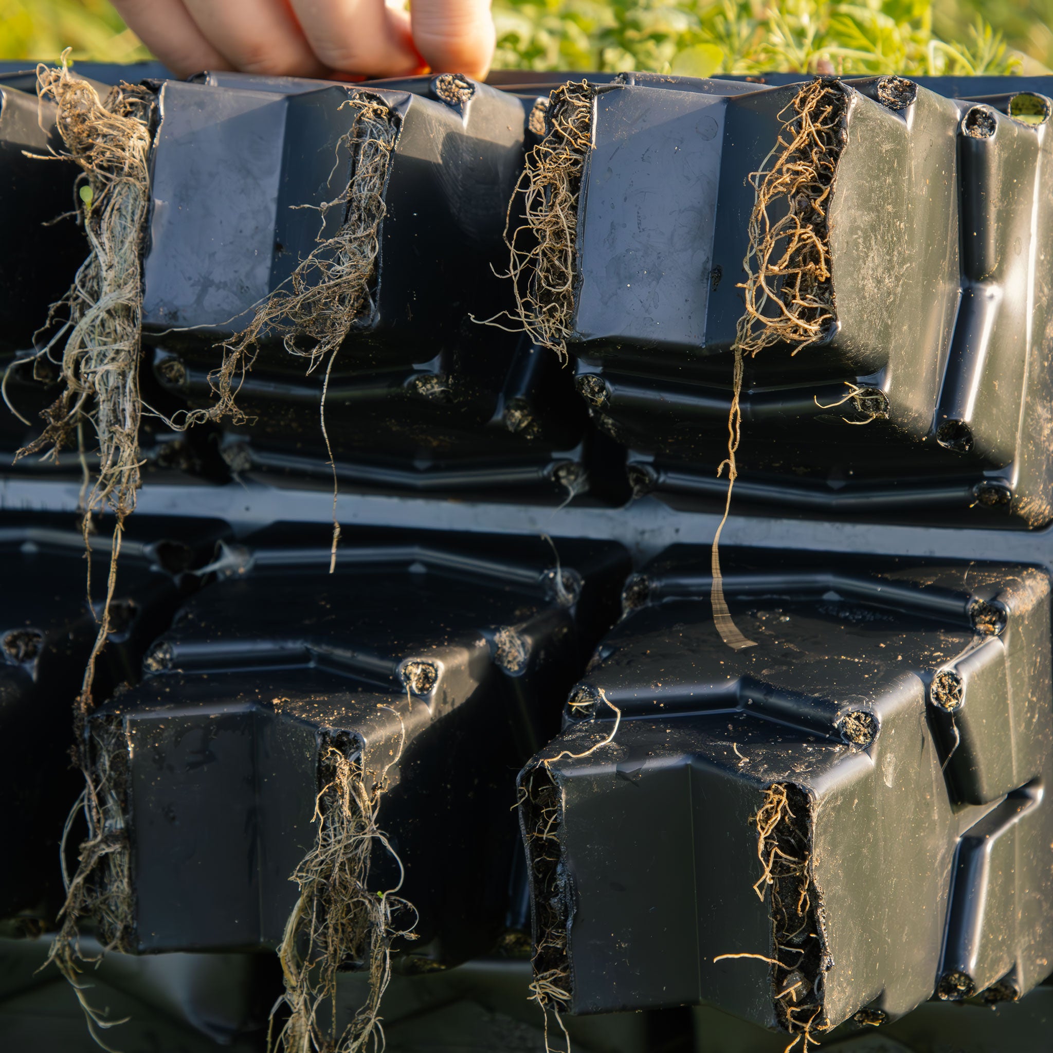 Rootmaker Propagation 18-Zellen-Tablett 