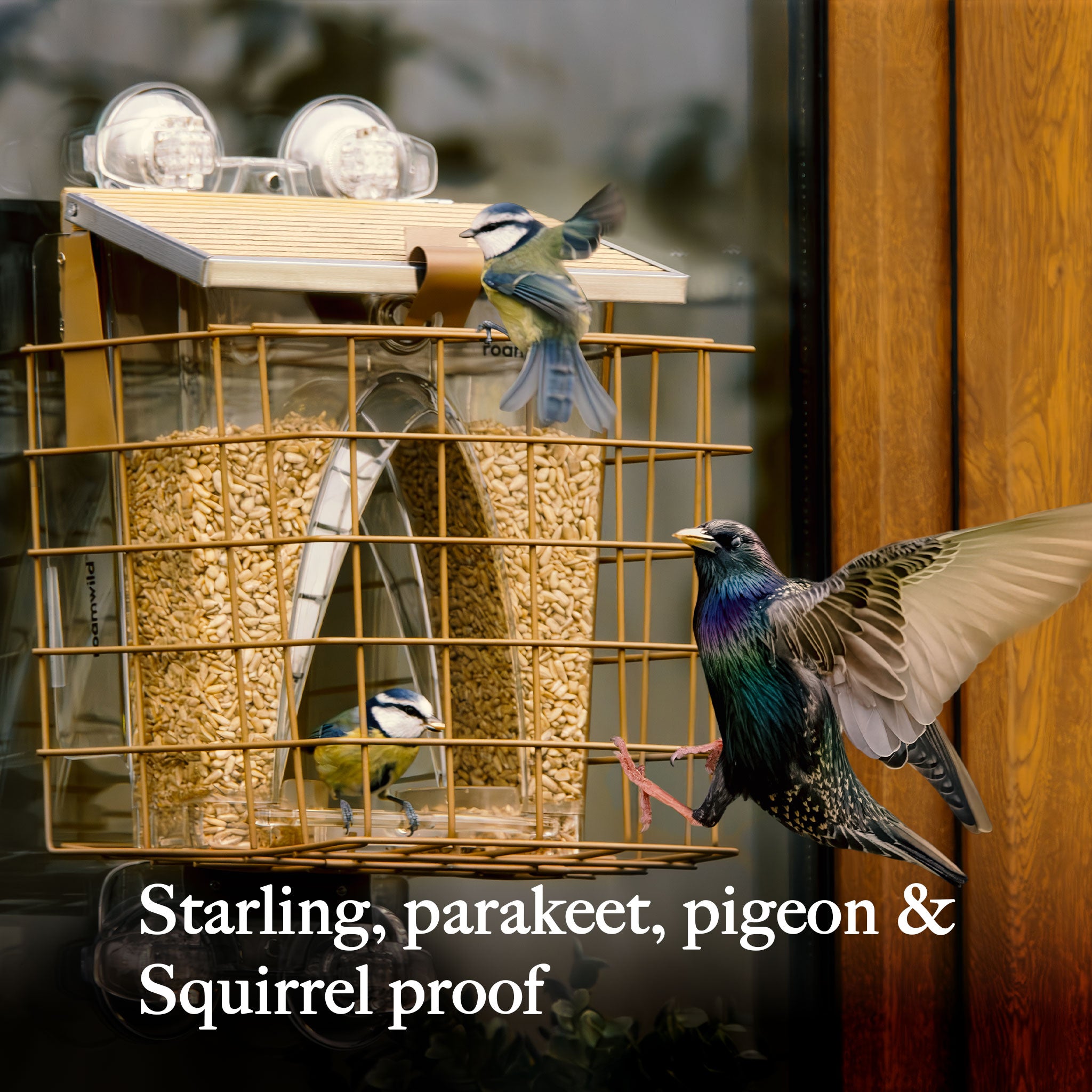 Arch Window Feeder: accessoire voor eekhoornbestendige kooi