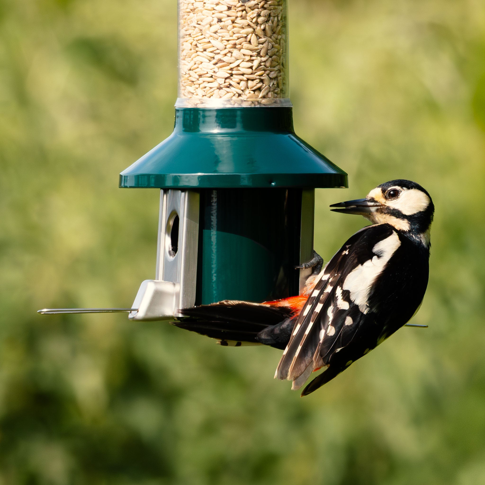 Roamwild PestOff Eekhoornbestendige Voederbak 2.0 Voor Gemengde Zaden/Zonnebloemharten