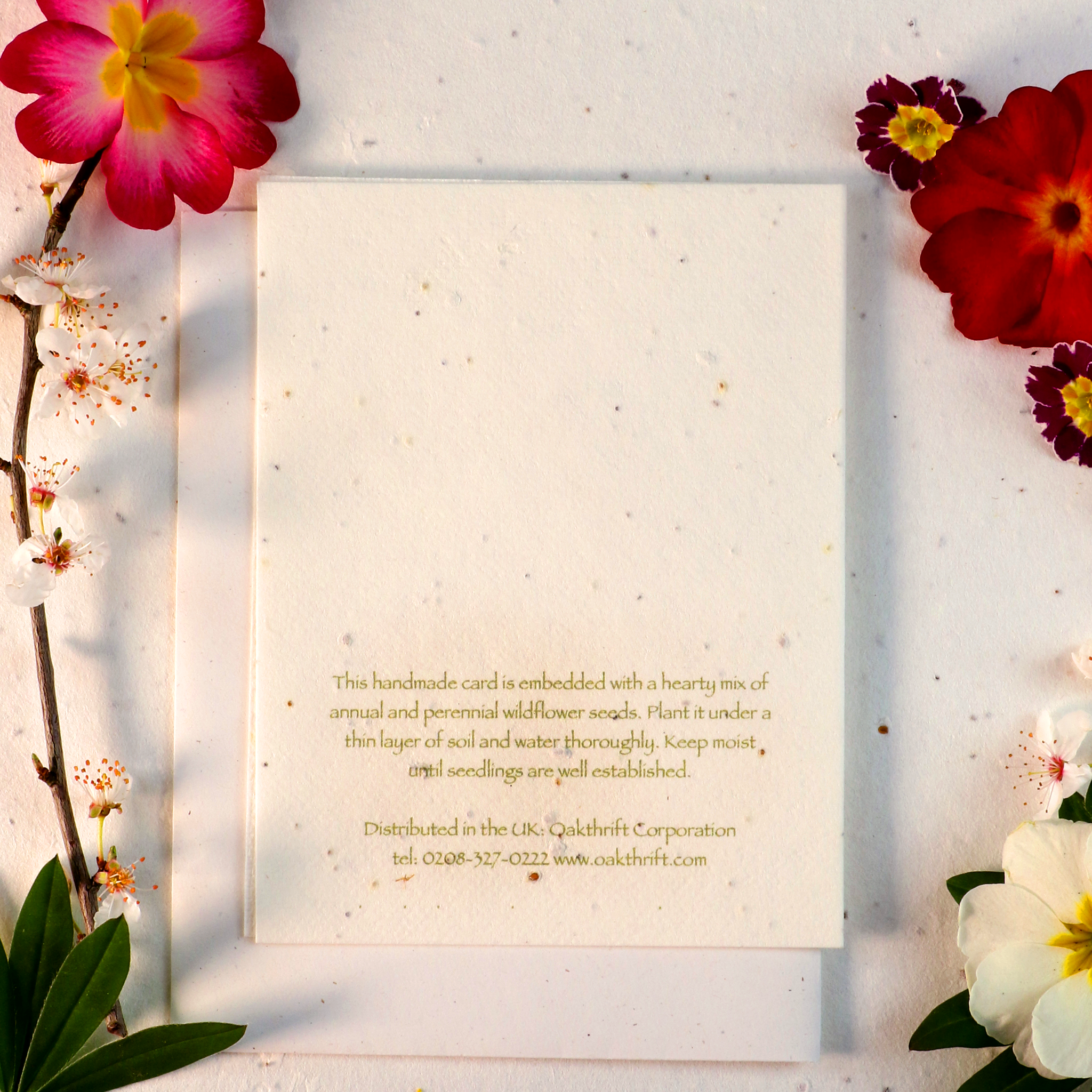 Gezaaide kaarten die uitgroeien tot bloemen (Whimsy Flower)
