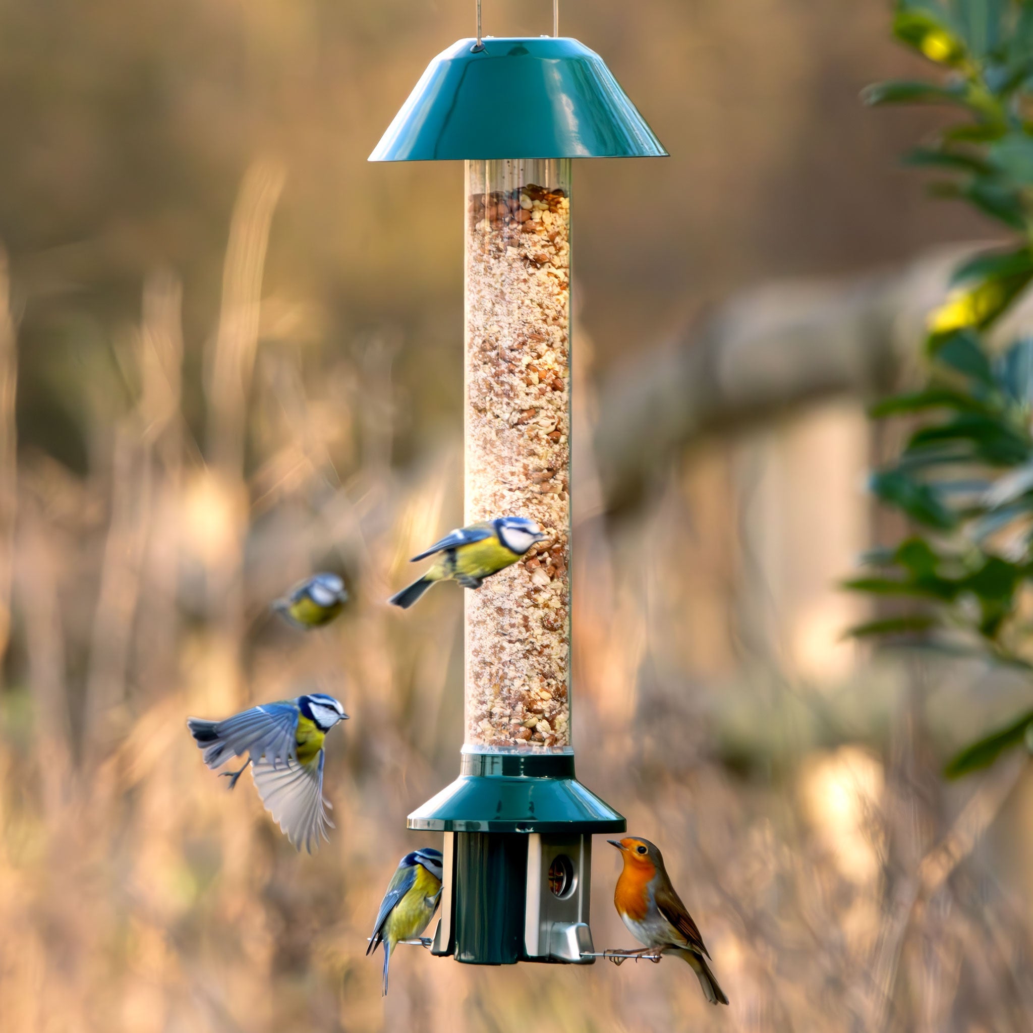 Roamwild PestOff Eekhoornbestendige Vogelvoederbak 2.0 Voor Pinda's/Meelwormen